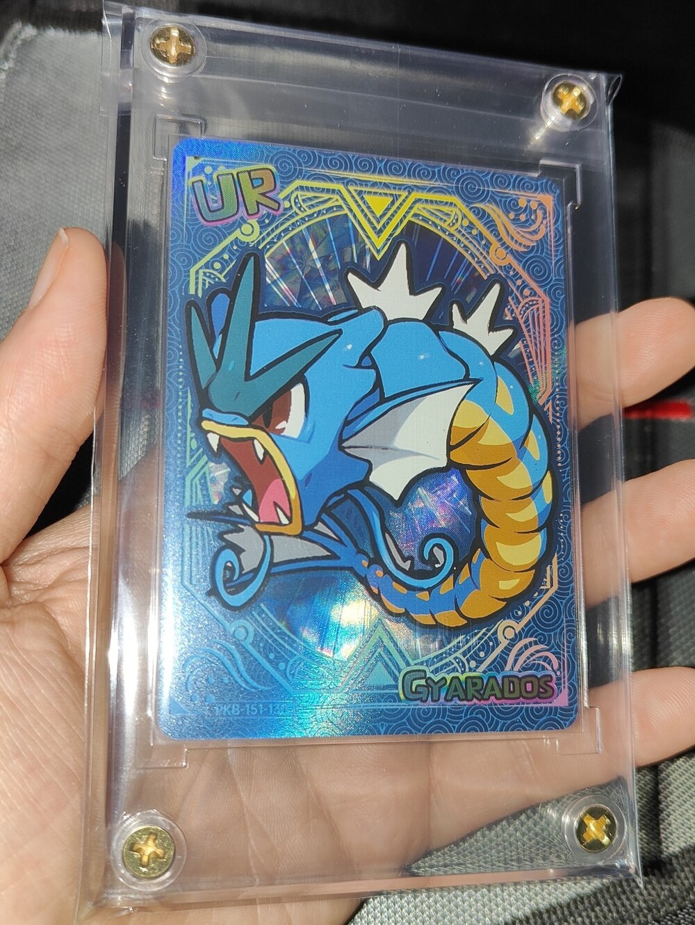 Gyarados Ultra Rare textured holo encased Pokémon Unofficial Card Chinese Chibi
